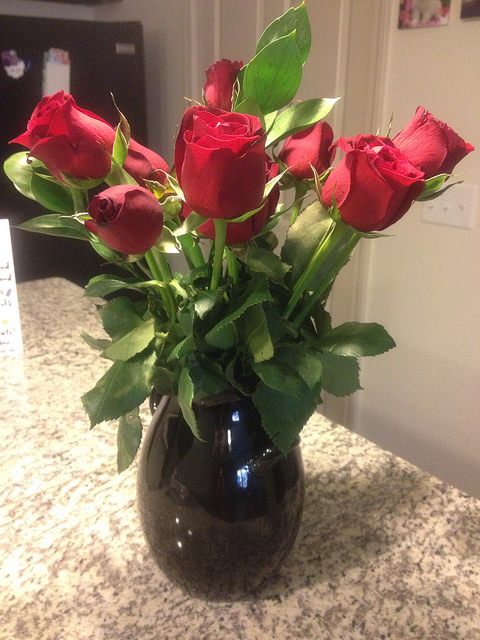 16180065040_34136d52b5_z